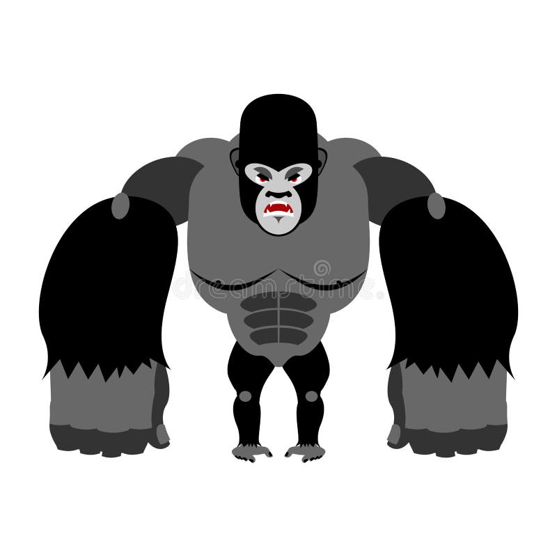 Gorila enojado en sus piernas traseras Mono agresivo en el backg blanco libre illustration Gorila enojado en sus piernas traseras Mono agresivo en el backg blanco libre illustration