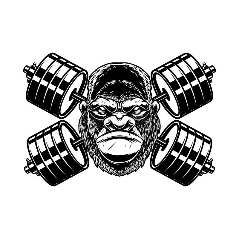 Gorilla Gym Logo Premium Vector Stock Vector by ©bayucesh 590148178