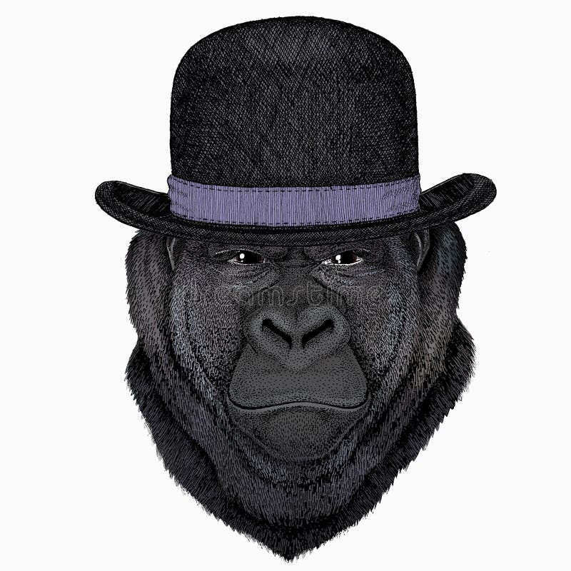 Gorilla Head. Vector Illustration. Animal Wearing Pirate Headdress