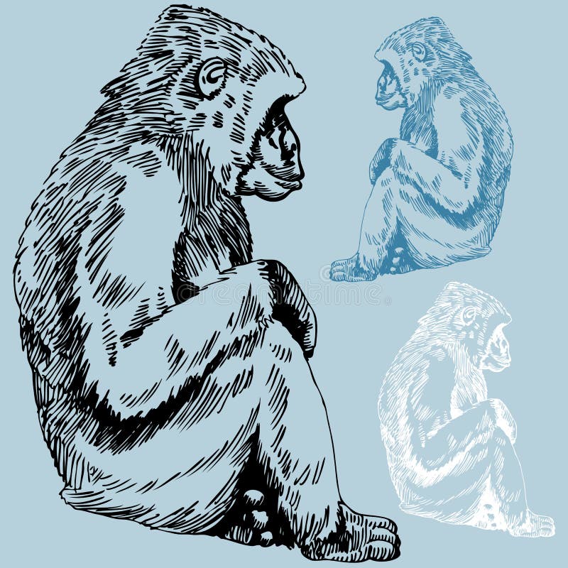 Monkey Cartoon Set Royalty Free SVG, Cliparts, Vectors, and Stock  Illustration. Image 15924835.