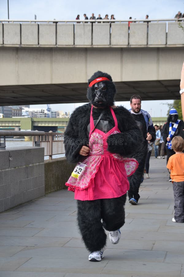 Gorilla Wearing A Pink Dress Editorial Stock Photo Image 21313383