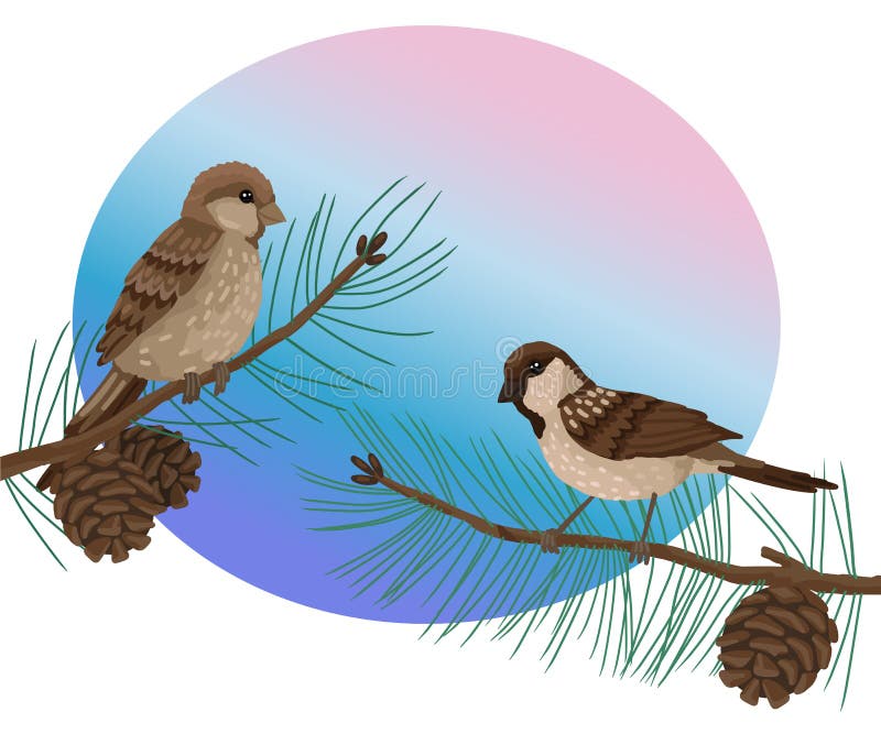  Gorriones Plumaje Pájaros Se Sienta En Brunch árbol De Pino . Ilustración De Dibujos Animados De Vector Sobre Fondo Blanco. Ilustración del Vector