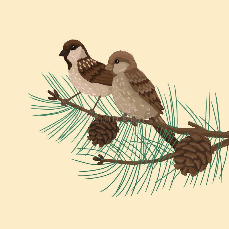  Gorriones Plumaje Pájaros Se Sienta En Brunch árbol De Pino . Ilustración De Dibujos Animados De Vector Sobre Fondo Blanco. Ilustración del Vector