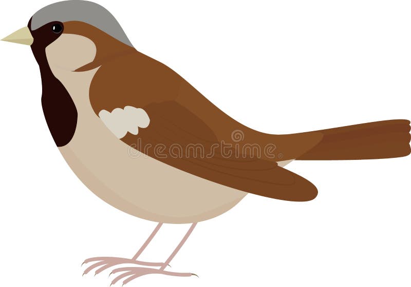 Gorrión marrón del pájaro de la historieta stock de ilustración