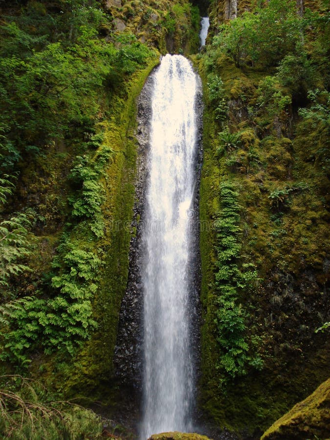 Gorton Creek Falls