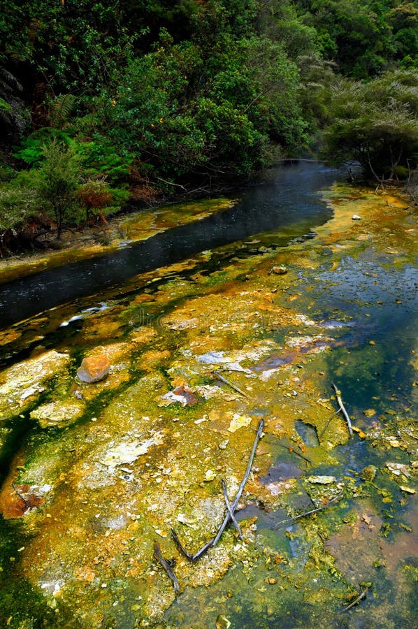 gorący kopalni cedziny leją się volcan waimangu obrazy stock gorący kopalni cedziny leją się volcan waimangu obrazy stock