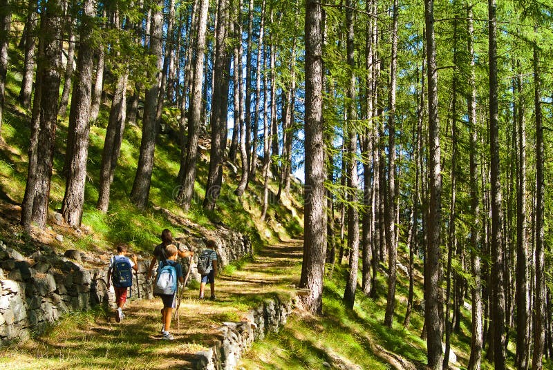 Gosse marchant en montagne photographie stock libre de droits Gosse marchant en montagne photographie stock libre de droits