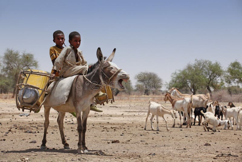 Young kids on a donkey in Africa during the dry season. Young kids on a donkey in Africa during the dry season