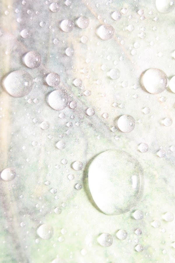 Gotas claras foto de stock royalty free Gotas claras foto de stock royalty free