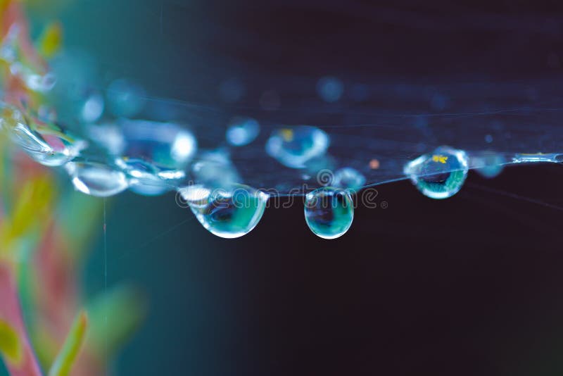 Gotas de água na Web de aranha imagem de stock royalty free Gotas de água na Web de aranha imagem de stock royalty free