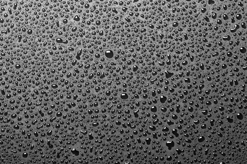 Gotas del agua en fondo negro