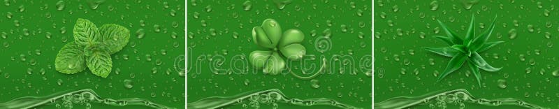 Gotas verdes Hortelã, trevo, aloés vetor 3d ilustração stock Gotas verdes Hortelã, trevo, aloés vetor 3d ilustração stock