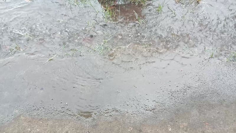 Gotitas de agua en la estación lluviosa