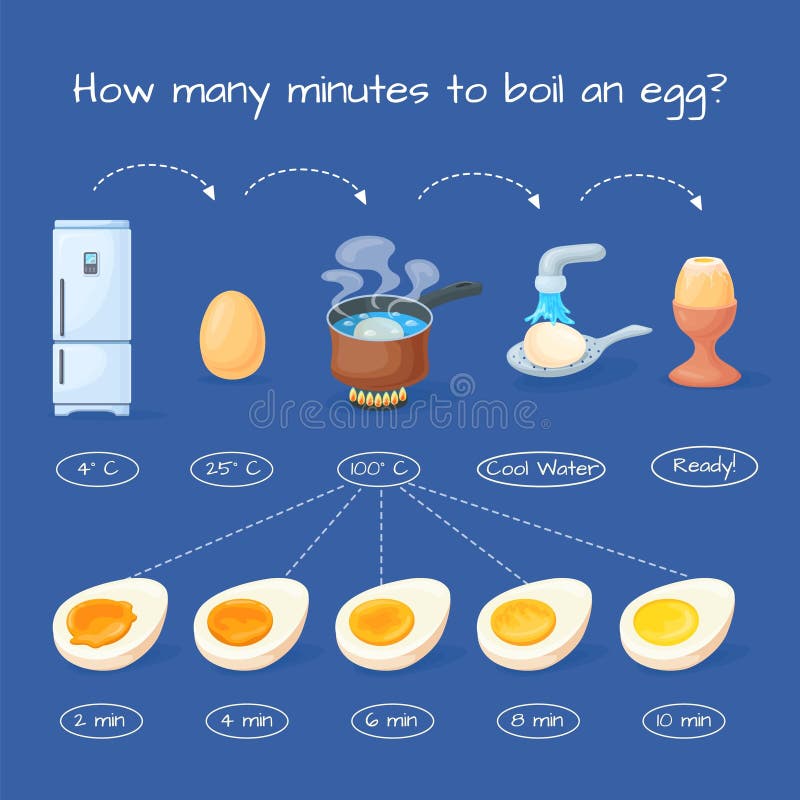 Boiling eggs infographic. How cook boiled egg instruction, cooking recipe presentation boil water time in pan pot to ready soft or hard cooked yolk, info neat vector illustration. Boiling eggs infographic. How cook boiled egg instruction, cooking recipe presentation boil water time in pan pot to ready soft or hard cooked yolk, info neat vector illustration