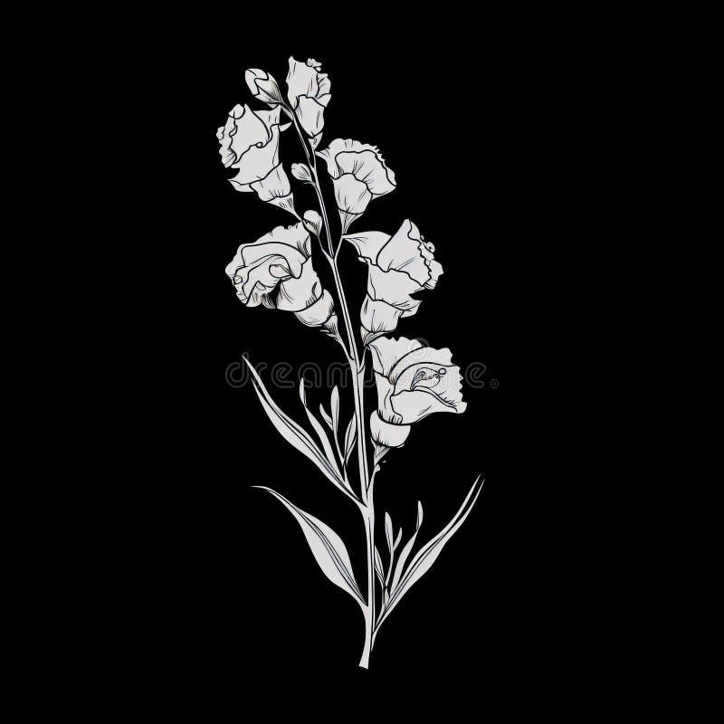 Gotsvart och vit lavenderblomma som ritar royaltyfri illustrationer
