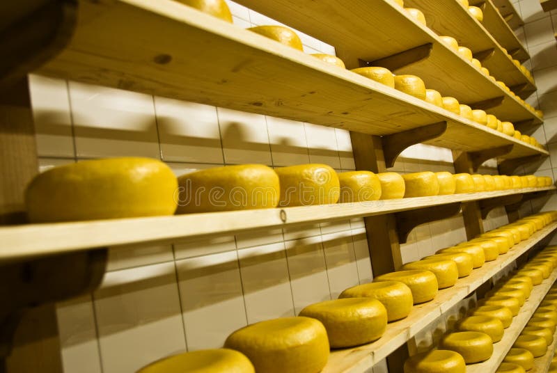 Gouda 4 you stock photo. Image of piles, round, sell, fermented 772712