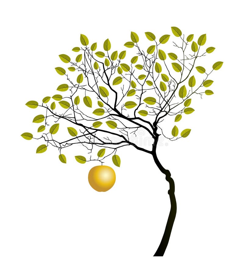 Gouden appelboom vector illustratie. Illustration of vers - 110565304