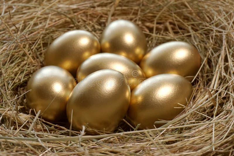 Gouden eieren in nest stock afbeeldingen Gouden eieren in nest stock afbeeldingen