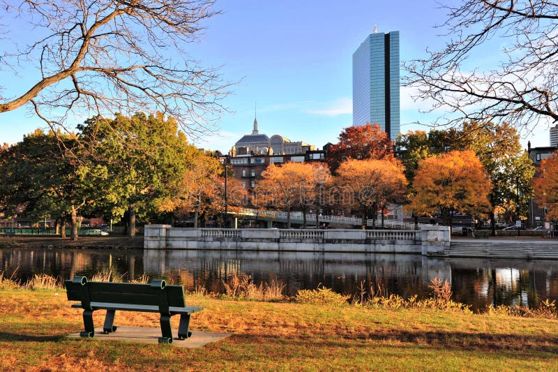 Gouden Gebladerte in Charles River Reservation stock foto's Gouden Gebladerte in Charles River Reservation stock foto's