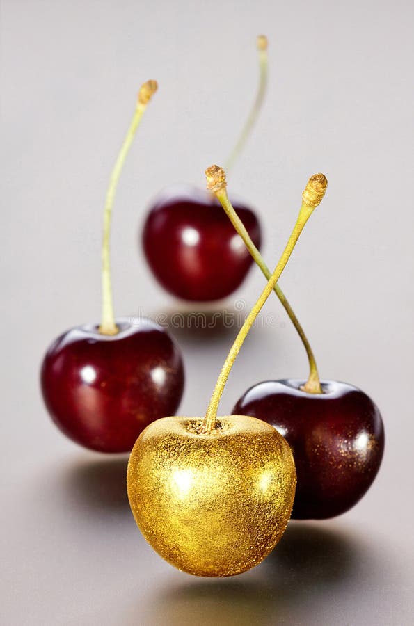 Gouden kersen op een grijze achtergrond stock foto's Gouden kersen op een grijze achtergrond stock foto's