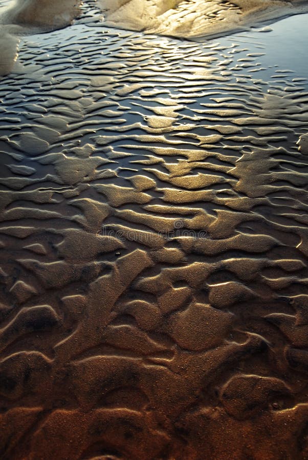 Gouden schoonheid van het strand stock afbeelding