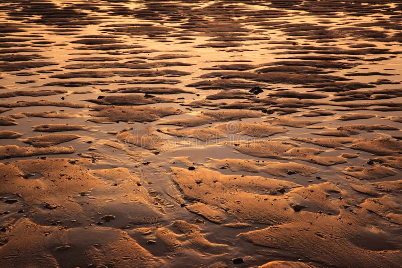 Gouden strandpools royalty-vrije stock fotografie Gouden strandpools royalty-vrije stock fotografie