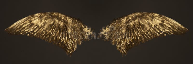 Gouden vleugels