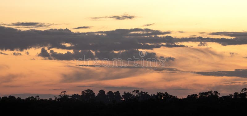 Gouden zonsondergang met weerwolken en bos op de voorgrond