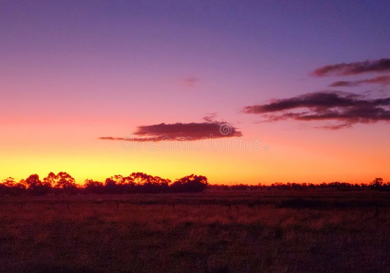 Gouden zonsondergang op farm paddock met magenta sky kleuren