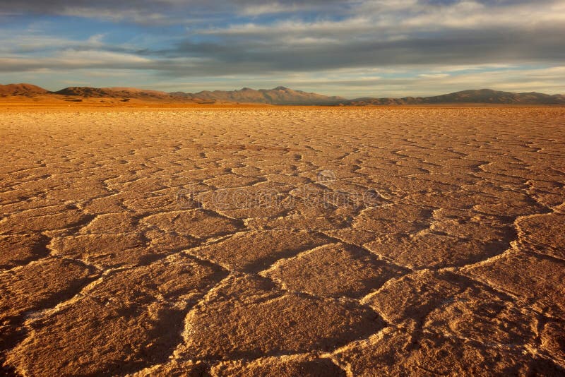 Gouden zout - Zoutmeren grandes/grote salines - salta & jujuy, Argentinië stock fotografie Gouden zout - Zoutmeren grandes/grote salines - salta & jujuy, Argentinië stock fotografie