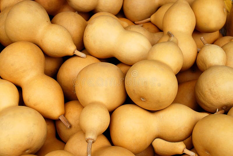 gourd calabash бутылки стоковое изображение rf gourd calabash бутылки стоковое изображение rf