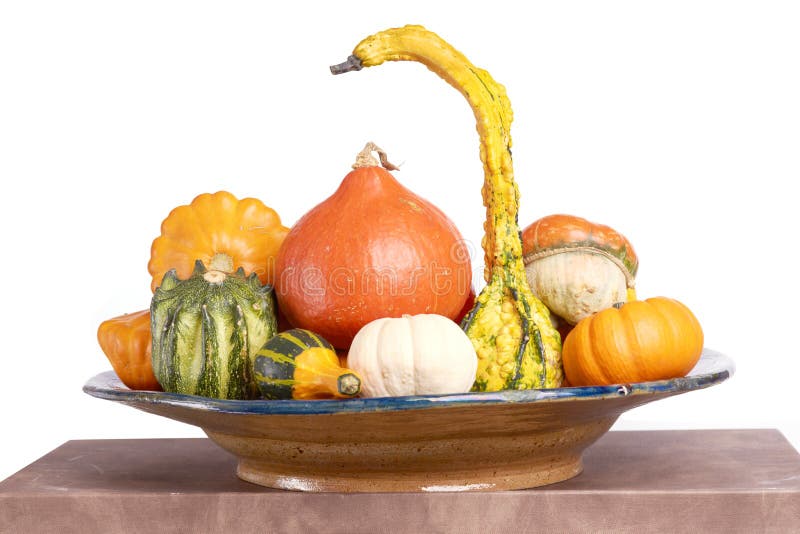 Gourd family. stock photo. Image of eating, vegetarian 60585368