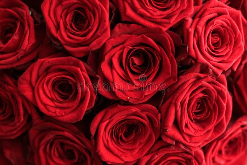 Gourgeous luxury bouquet of red roses, flowers in bloom as floral holiday background