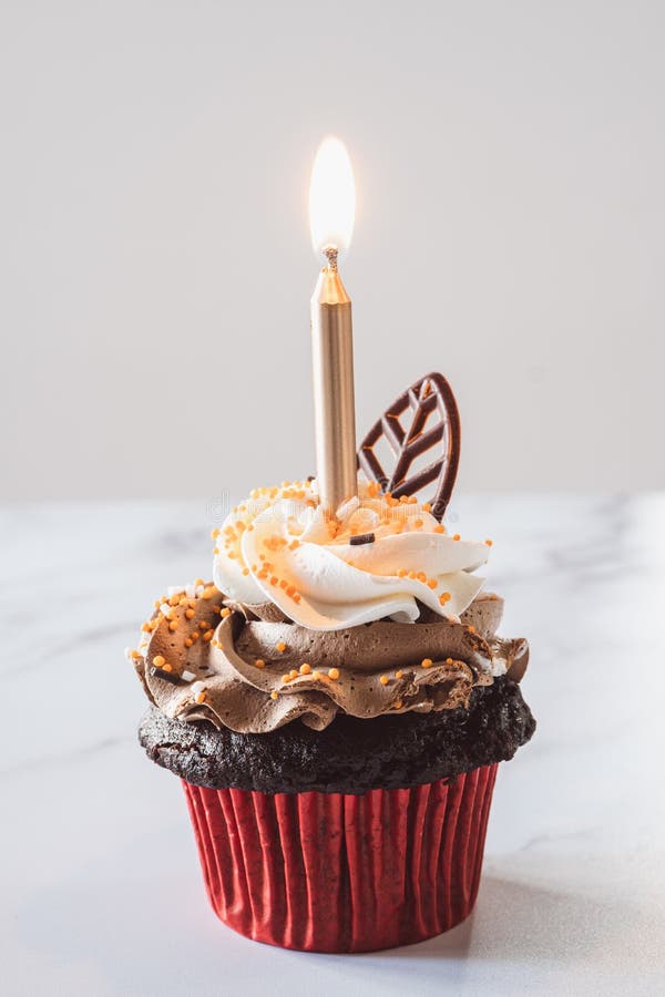 Gourmet Birthday Cupcake with Candle Vertical Stock Photo Image of sweet, horizontal 256641670