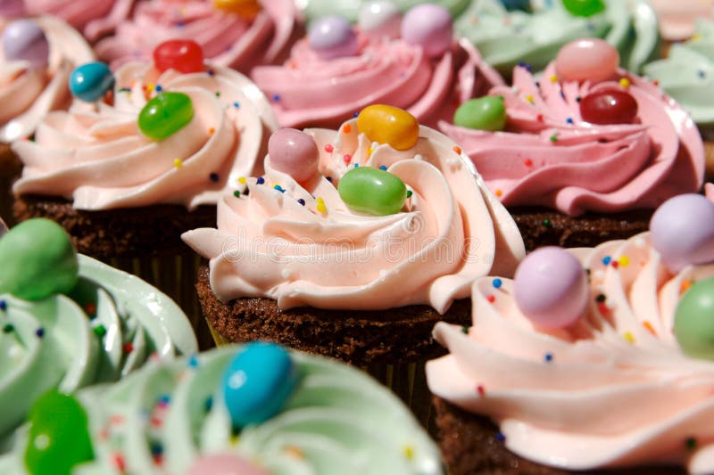 Gourmet decorated cupcakes