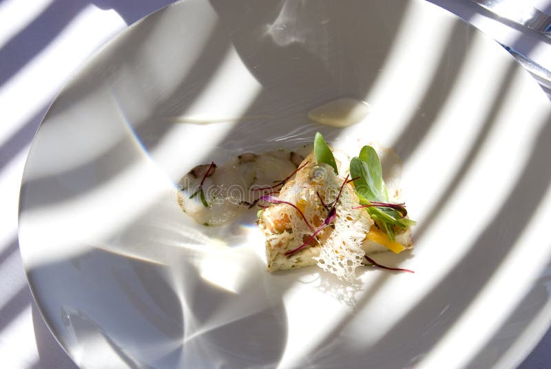 Gourmet dish royalty free stock photo
