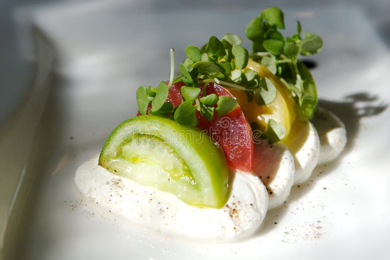 Gourmet Tomato And Cheese Appetizer Picture. Image 6338414