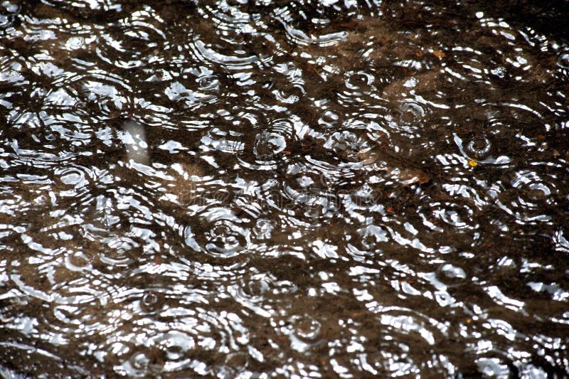 Rain water drops on water surface, raindrops falling in puddles with light reflections, abstract nature background. Rain water drops on water surface, raindrops falling in puddles with light reflections, abstract nature background