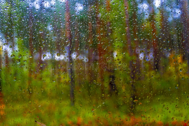 Gouttes de l'eau de pluie sur la fenêtre Forêt d'automne de tache floue à l'arrière-plan Paysage pluvieux automnal image stock Gouttes de l'eau de pluie sur la fenêtre Forêt d'automne de tache floue à l'arrière-plan Paysage pluvieux automnal image stock