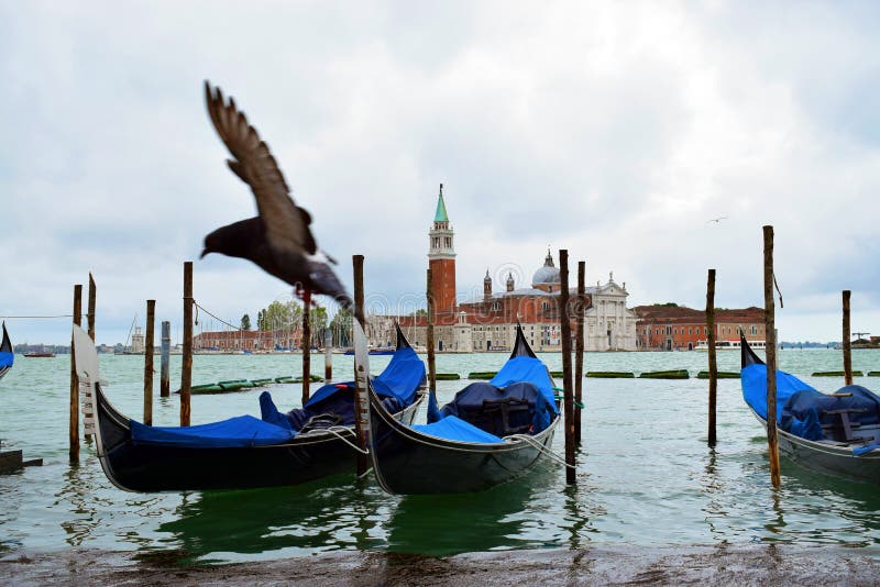 Gołąb San Giorgio Maggiore i wyspa obrazy royalty free Gołąb San Giorgio Maggiore i wyspa obrazy royalty free