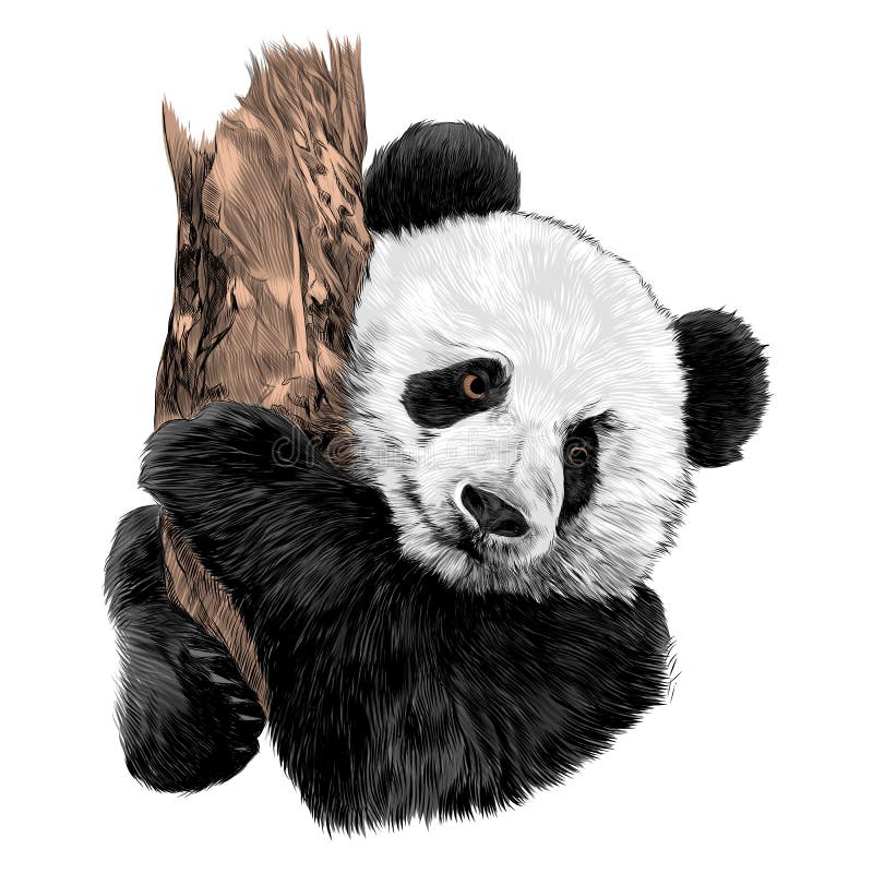 Menina panda bonito dos desenhos animados com fones de ouvido ouve