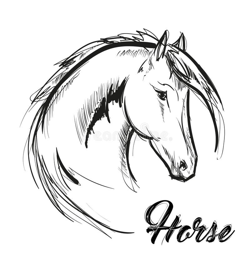 Linha Esboço Do Vetor Da Tatuagem Da Cabeça De Cavalo Da Arte Ilustração do  Vetor - Ilustração de sinal, esporte: 94233570