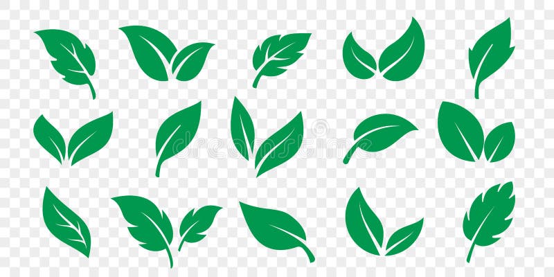 Gr?n bladsymbolsupps?ttning p? vit bakgrund Vektorvegetarian, strikt vegetarian, eco och organiska växt- symboler