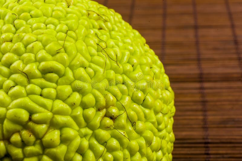 Gr? ne Frucht von Maclura pomifera, Osage-Orange, Pferdeapfel, Adam-Apfel wachsen auf Bambusmatte lizenzfreies stockfoto