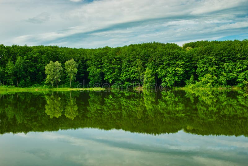 Gr?ner Wald reflektiert im See stockfoto Gr?ner Wald reflektiert im See stockfoto