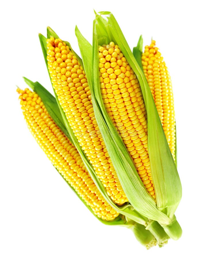 Graan royalty-vrije stock afbeeldingen