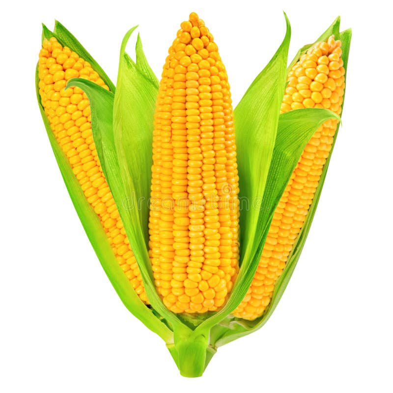 Maïs stock foto's
