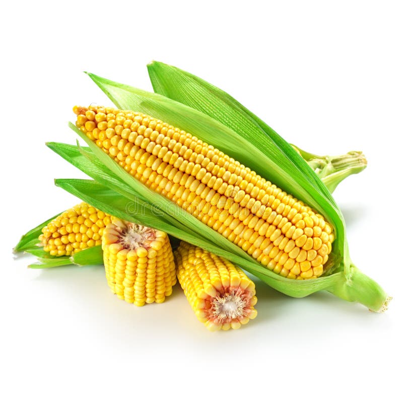 Maïs stock foto