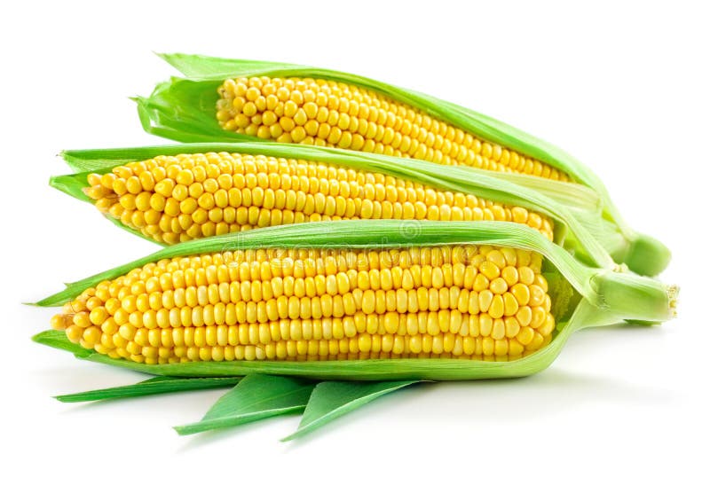 Maïs geïsoleerd op witte achtergrond stock foto's