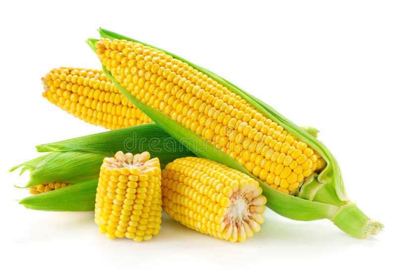 Maïs geïsoleerd op witte achtergrond royalty-vrije stock foto's